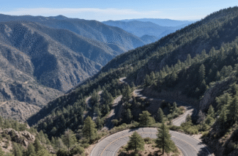 Coronado Trail Arizona Clifton to Alpine Mountains Curves Drive