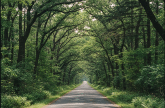 Natchez Trace Tennessee Mississippi Alabama Historical Parkway